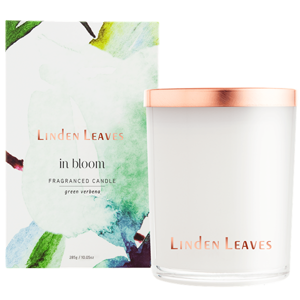 Linden Leaves ޹ 285 ޲ζ