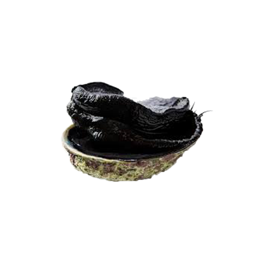 ޽ָ 1500/  