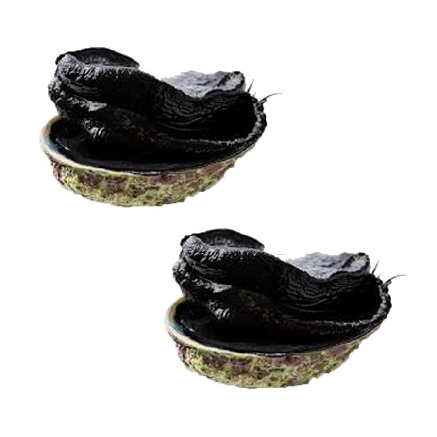 쳼ù 12ֻ/ Լ90ˣ